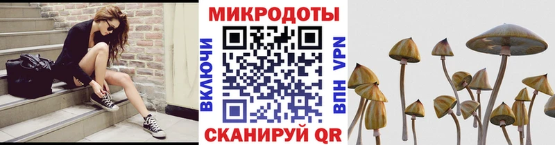 omg как войти  Крымск  Галлюциногенные грибы ЛСД 
